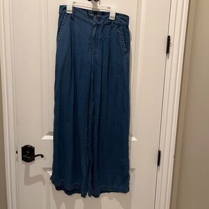 American Eagle light weight  blue jean wide leg pleated pants.